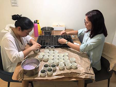 IMG_3762.JPG IMG_3762.JPG