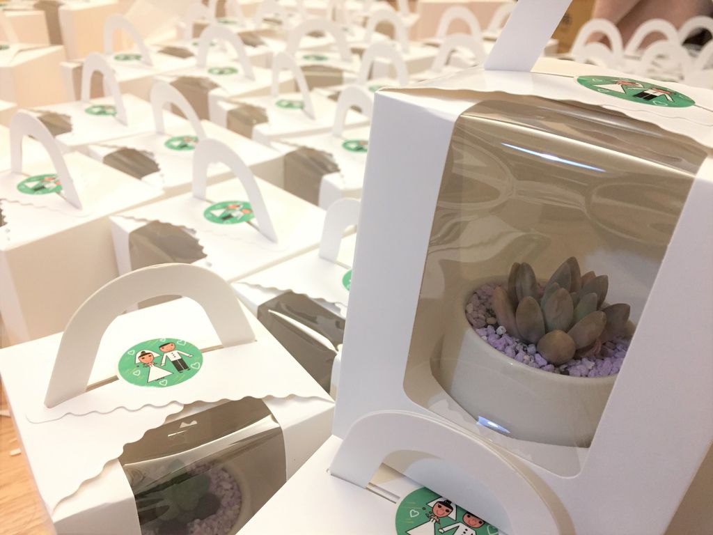 IMG_3777.JPG IMG_3777.JPG