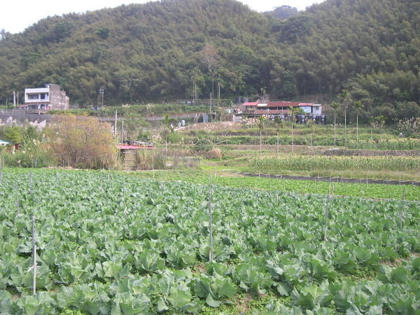三場.jpg