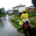 25 雨中漫步