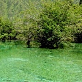 22 盆景池 Bonsai Ponds