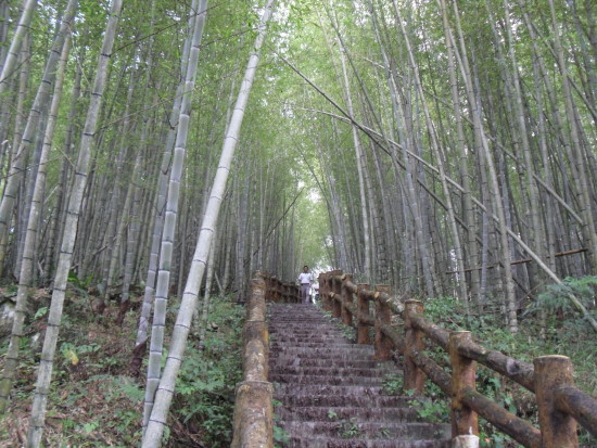 台東關山之旅.jpg