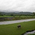 台東關山之旅6.jpg