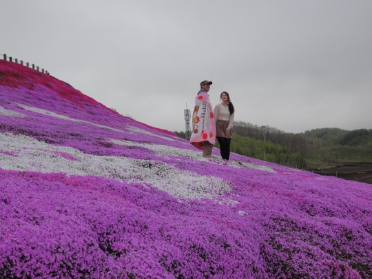 芝櫻公園戀人