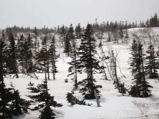 知床山雪2