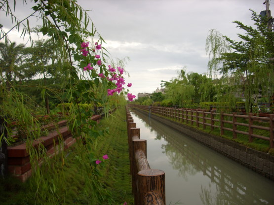 小花點綴.jpg