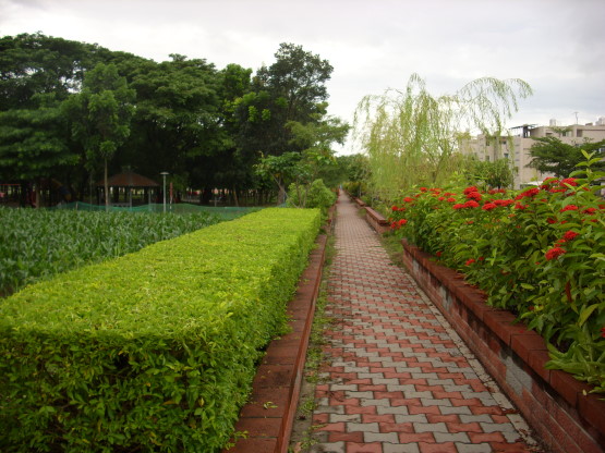 美麗步道.jpg