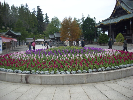 成田山新勝寺.jpg