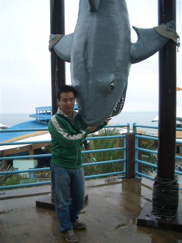 小賣和殺魚