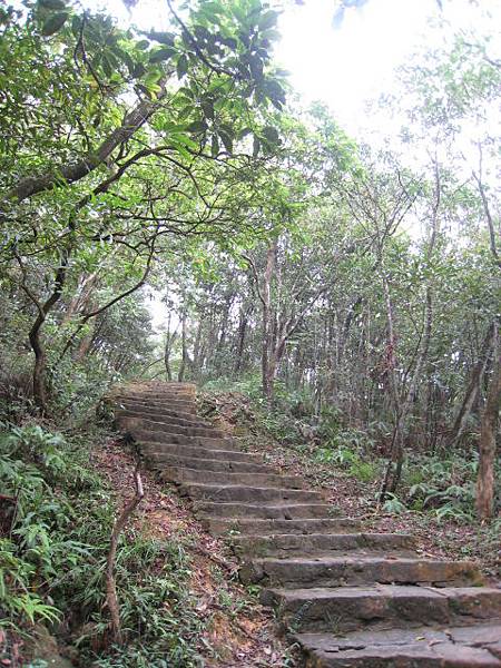 金面山步道~十一月的攝影寫真