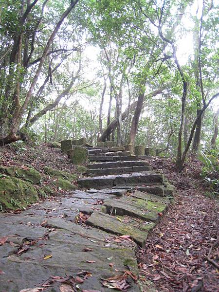 金面山步道~十一月的攝影寫真