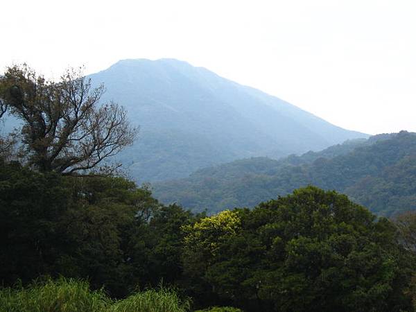 陽明山~隨拍