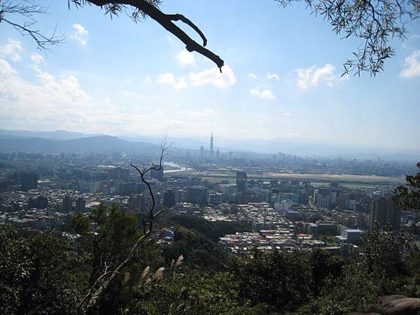 金面山步道~隨拍