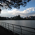 碧湖公園~湖光景色