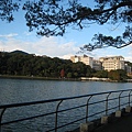 碧湖公園~湖光景色