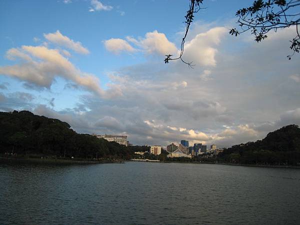 碧湖公園~湖光景色