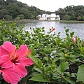 碧湖公園~湖光景色