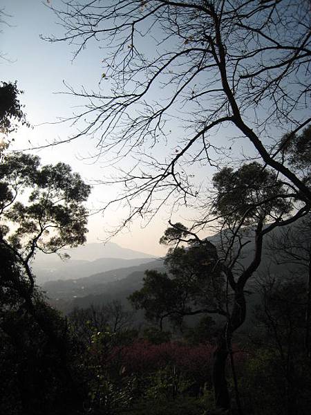 陽明山~隨拍