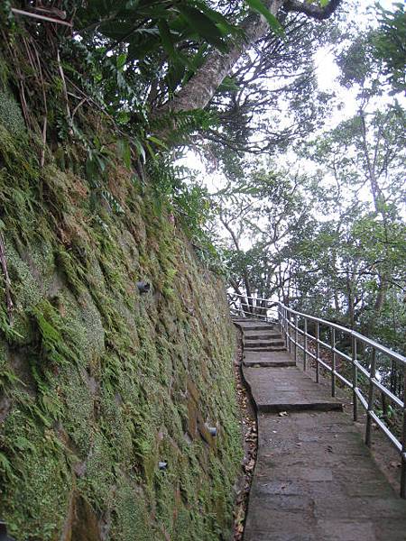 白鷺鷥山~親山步道~隨拍