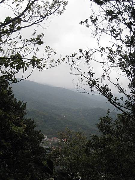 白鷺鷥山~親山步道~隨拍