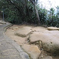 白鷺鷥山~親山步道~隨拍