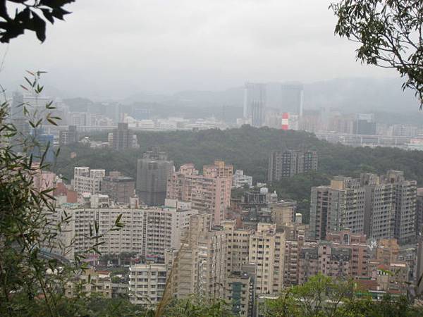 白鷺鷥山~親山步道~隨拍