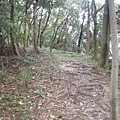 白鷺鷥山~親山步道~隨拍