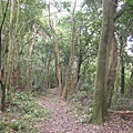 白鷺鷥山~親山步道~隨拍