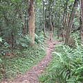 白鷺鷥山~親山步道~隨拍