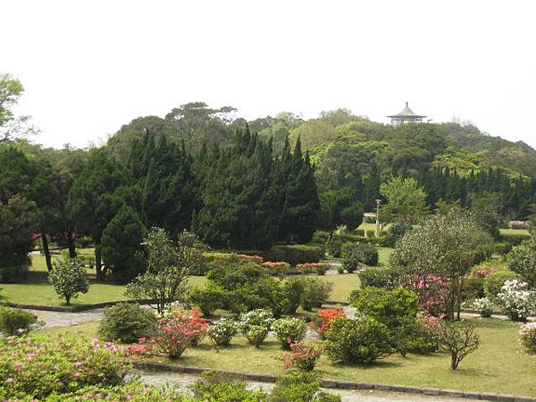 杜鵑茶花園