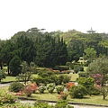 杜鵑茶花園