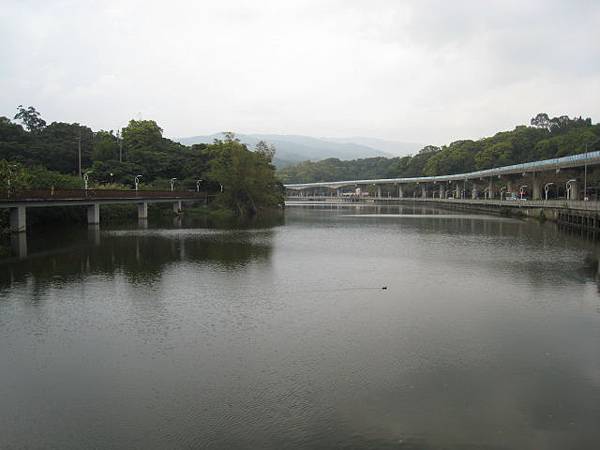 大湖公園隨拍