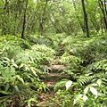 親山步道~隨拍