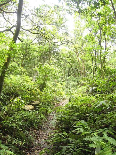 親山步道~隨拍