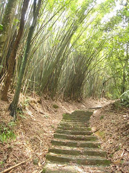 親山步道~隨拍