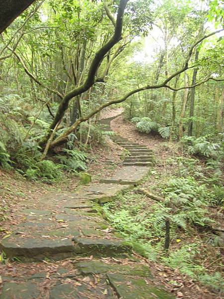 親山步道~隨拍