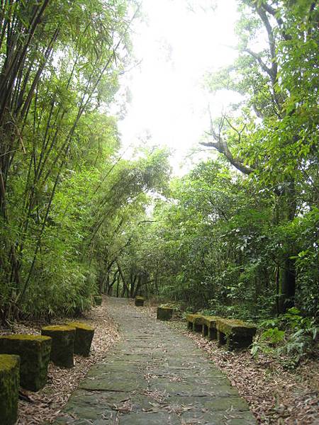 親山步道~隨拍