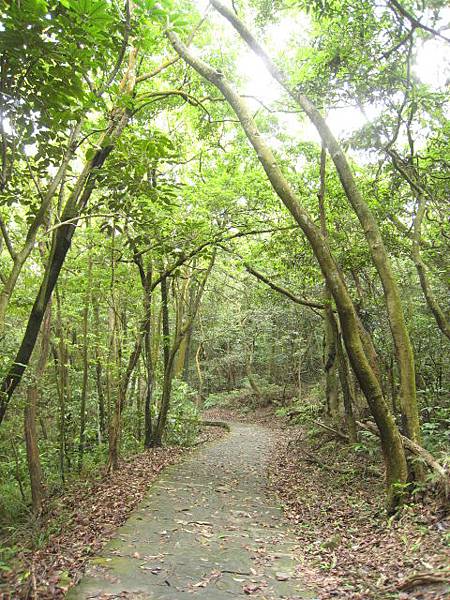 親山步道~隨拍