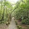 親山步道~隨拍