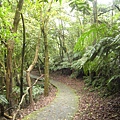 親山步道~隨拍