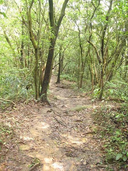 親山步道~隨拍