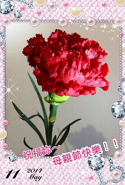 康乃馨～母親節卡片 @ Lin(西瓜皮)的部落格 :: 痞客邦