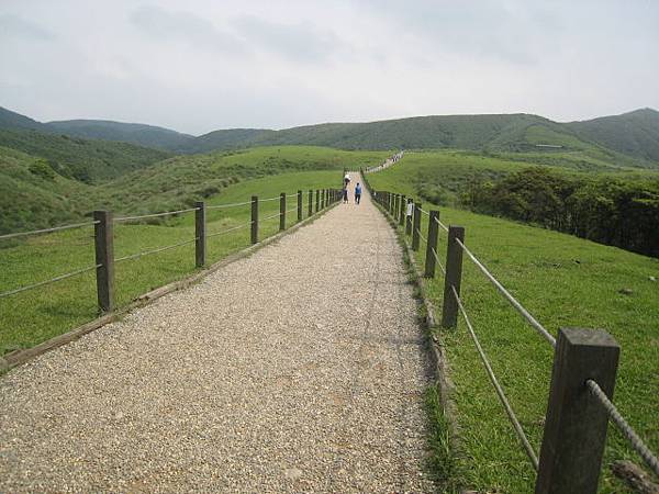 擎天崗步道