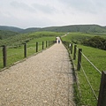 擎天崗步道