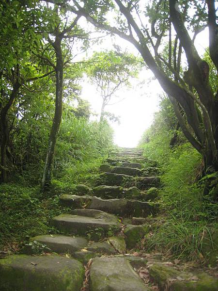 擎天崗步道