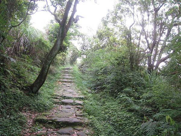 擎天崗步道