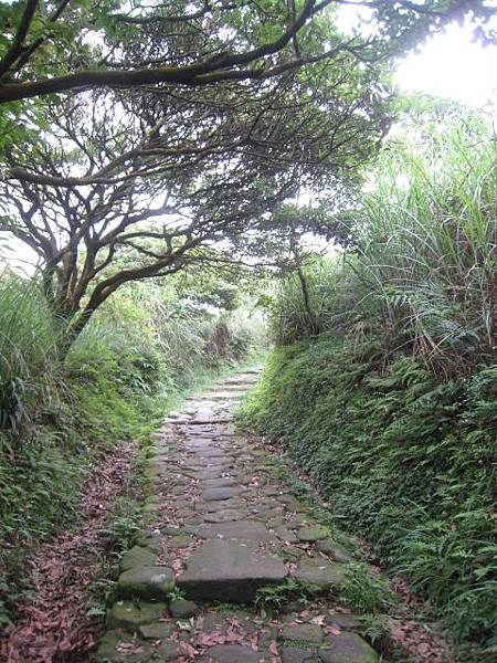 擎天崗步道