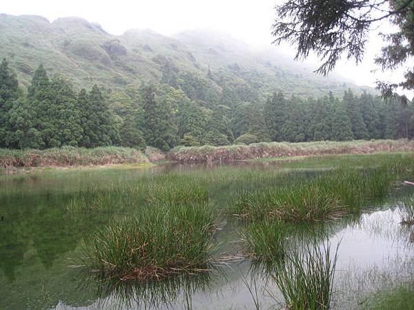 夢幻湖與台灣水韭