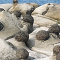 和平島公園
