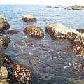 和平島公園